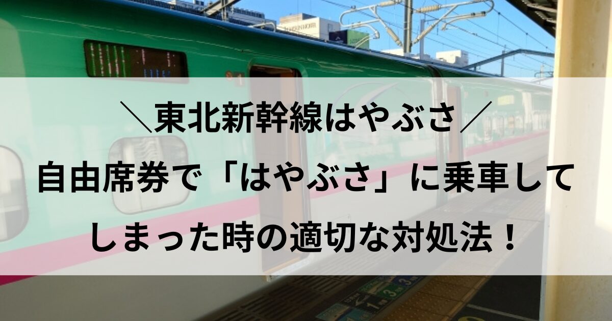 はやぶさ 自由席で乗ってしまった