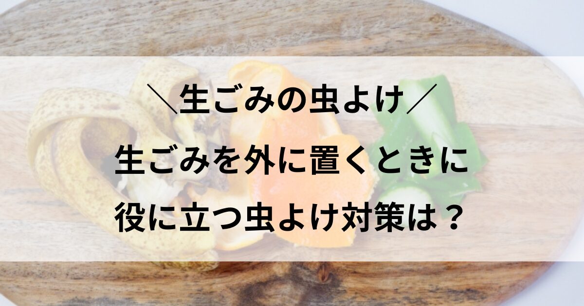 生ごみ 外に置く 虫